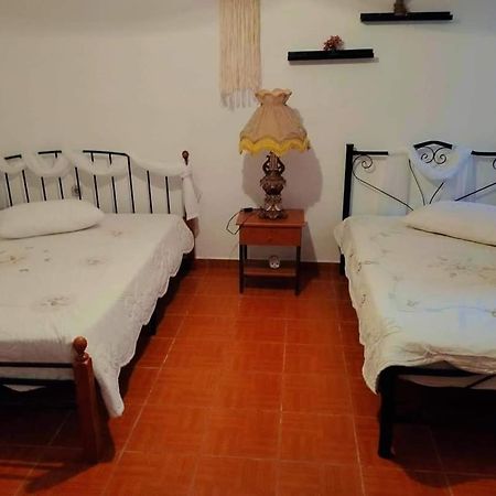 ניאה סקיוני Villa Konstantina מראה חיצוני תמונה
