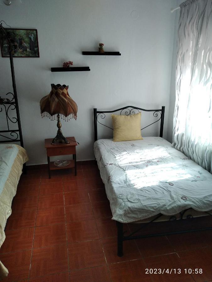 ניאה סקיוני Villa Konstantina מראה חיצוני תמונה