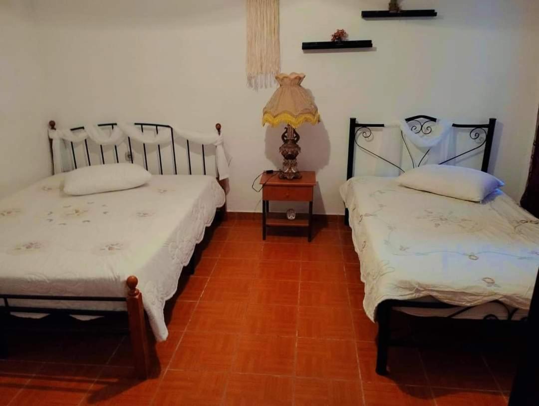 ניאה סקיוני Villa Konstantina מראה חיצוני תמונה